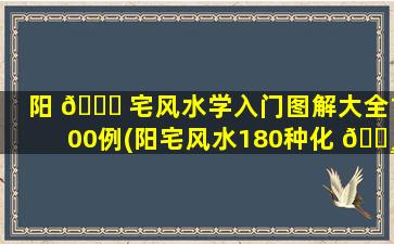 阳 🐘 宅风水学入门图解大全100例(阳宅风水180种化 🕸 解法)